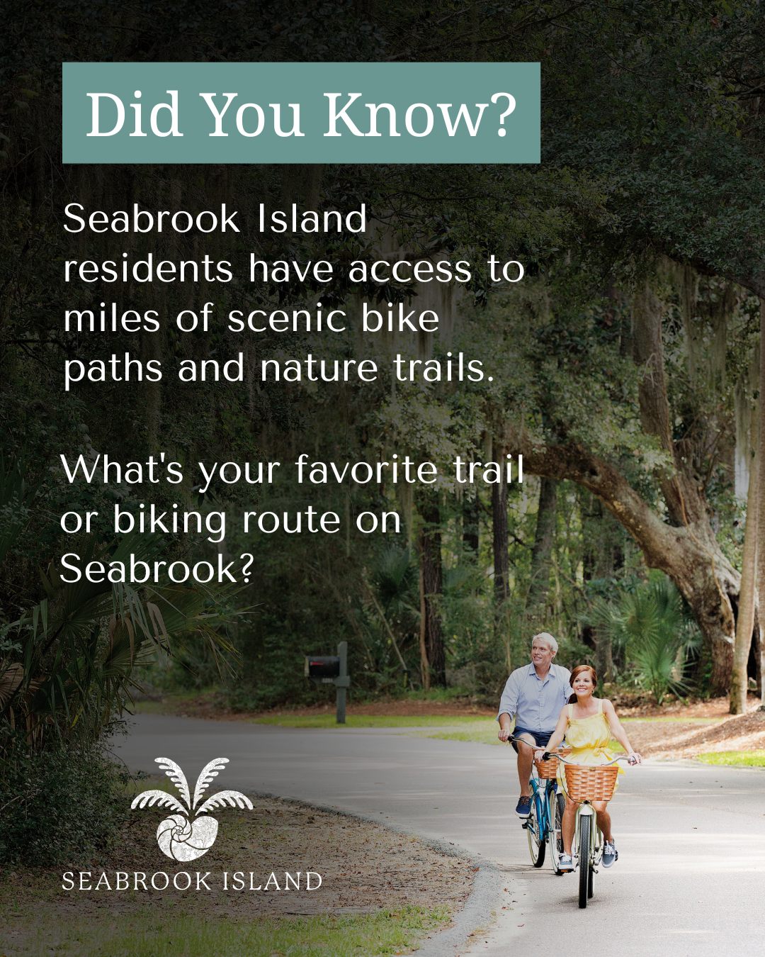 Social Media — seabrook 2